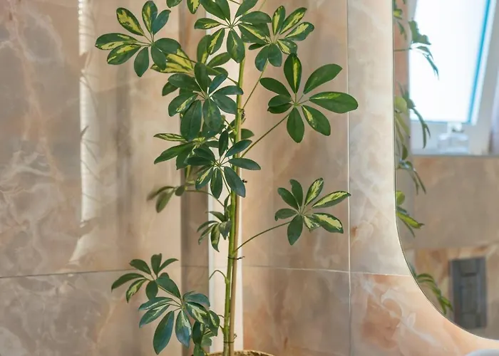 Luisa شقة ريثيمنو