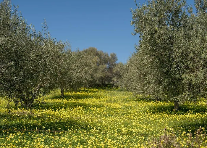 Luisa شقة ريثيمنو